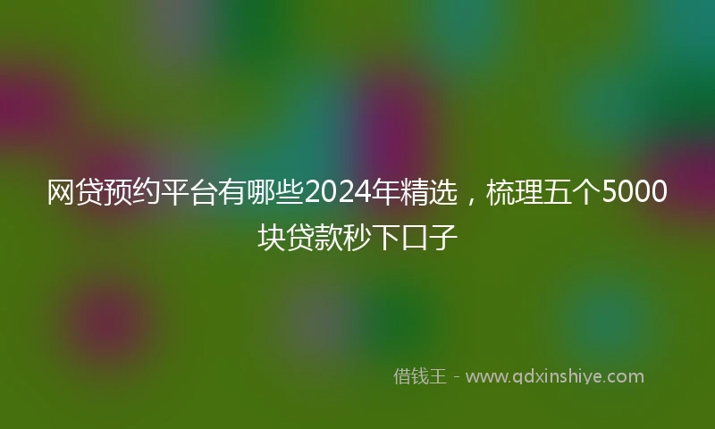 网贷预约平台有哪些2024年精选，梳理五个5000块贷款秒下口子