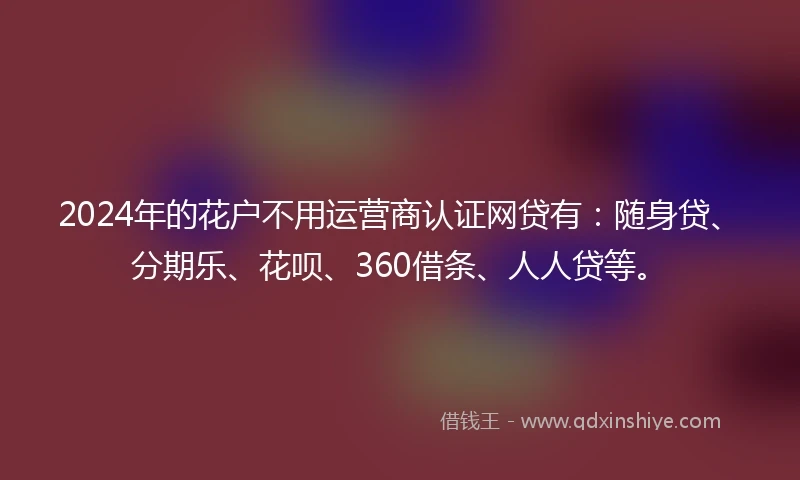 2024年的花户不用运营商认证网贷有：随身贷、分期乐、花呗、360借条、人人贷等。