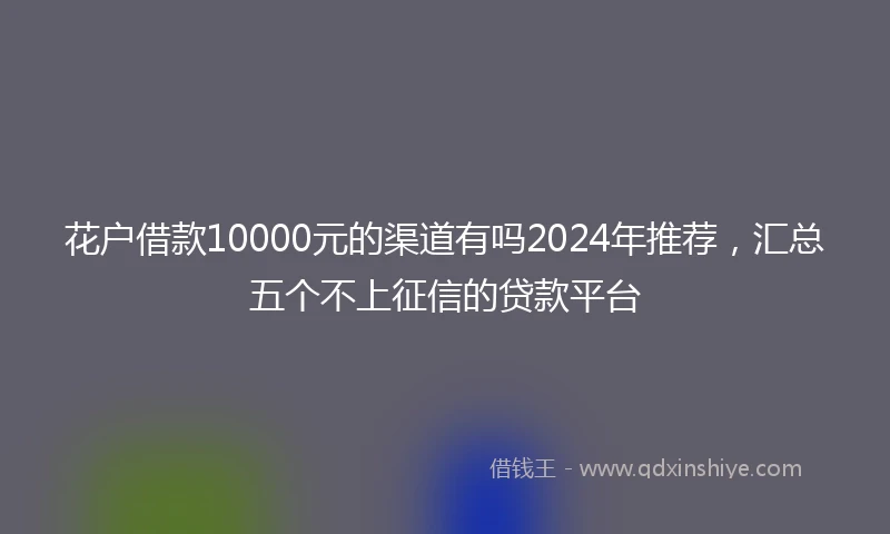 花户借款10000元的渠道有吗2024年推荐，汇总五个不上征信的贷款平台