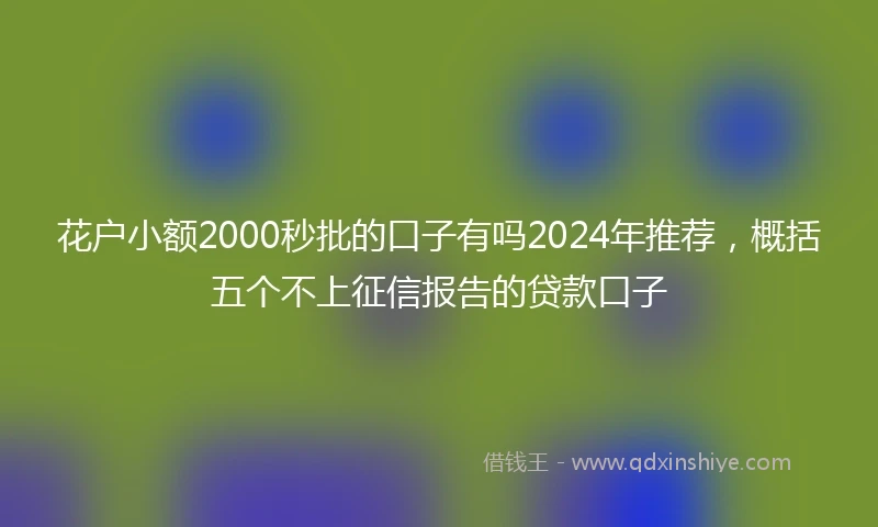 花户小额2000秒批的口子有吗2024年推荐，概括五个不上征信报告的贷款口子