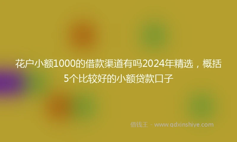 花户小额1000的借款渠道有吗2024年精选，概括5个比较好的小额贷款口子