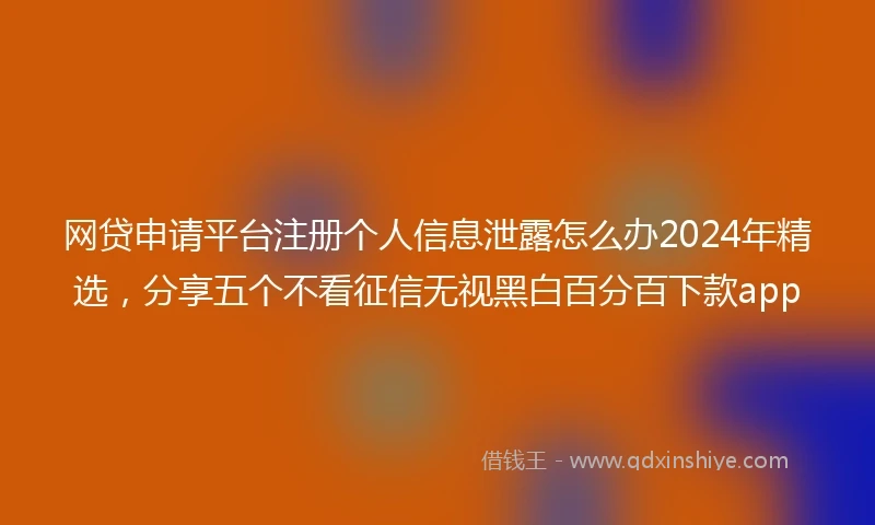 网贷申请平台注册个人信息泄露怎么办2024年精选，分享五个不看征信无视黑白百分百下款app