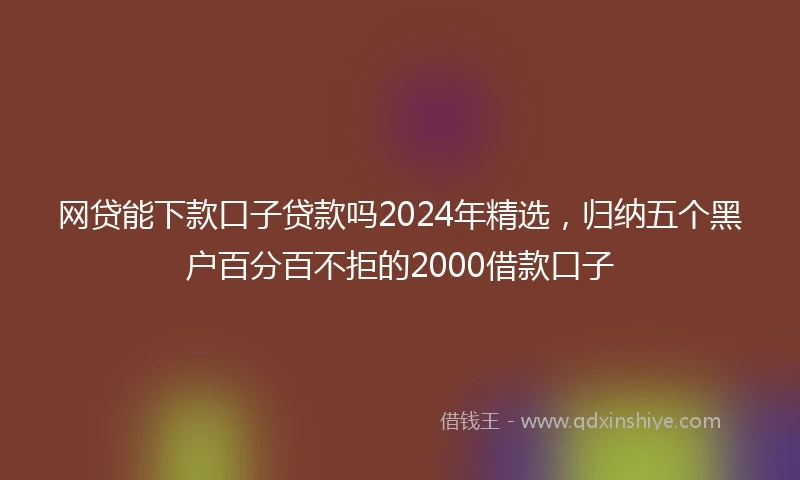 网贷能下款口子贷款吗2024年精选，归纳五个黑户百分百不拒的2000借款口子