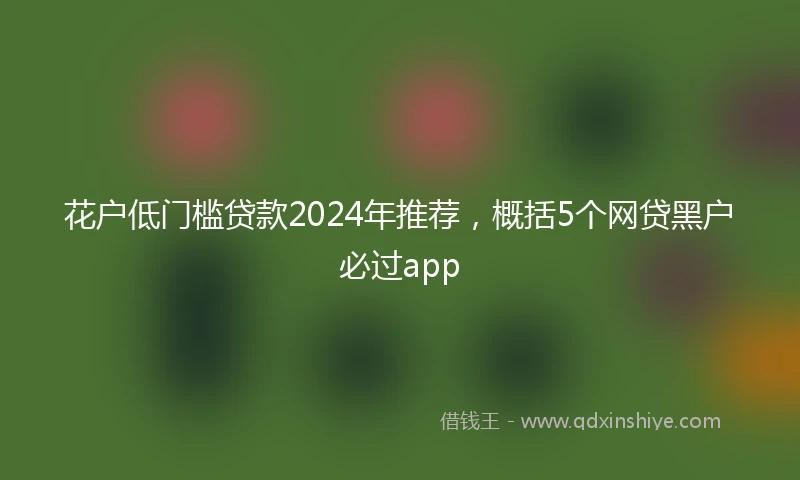 花户低门槛贷款2024年推荐，概括5个网贷黑户必过app