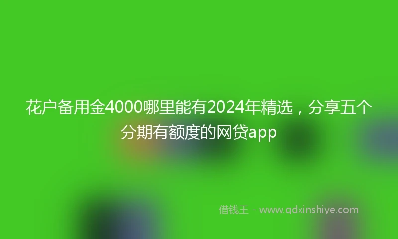 花户备用金4000哪里能有2024年精选，分享五个分期有额度的网贷app