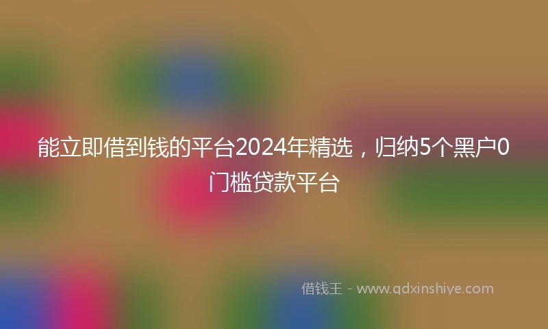 能立即借到钱的平台2024年精选，归纳5个黑户0门槛贷款平台
