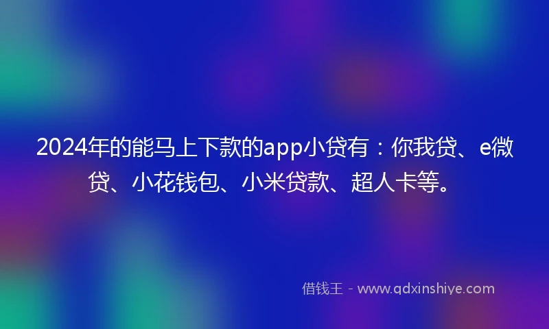 2024年的能马上下款的app小贷有：你我贷、e微贷、小花钱包、小米贷款、超人卡等。