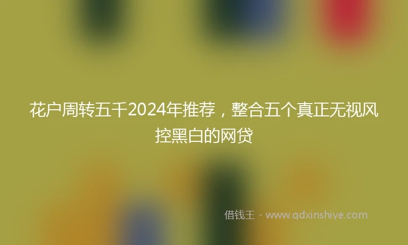 花户周转五千2024年推荐，整合五个真正无视风控黑白的网贷