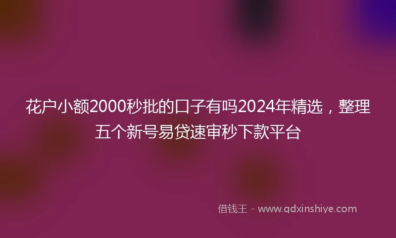 花户小额2000秒批的口子有吗2024年精选,整理五个新号易贷速审秒下款平台