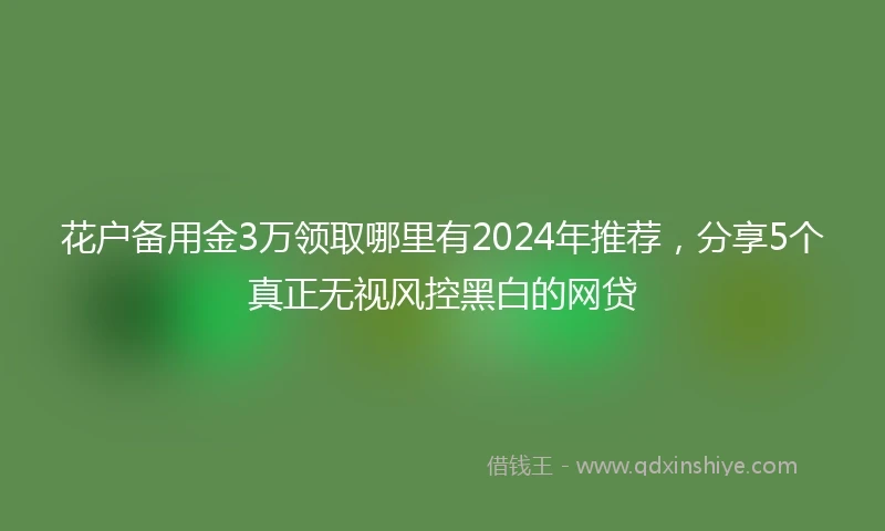 花户备用金3万领取哪里有2024年推荐，分享5个真正无视风控黑白的网贷