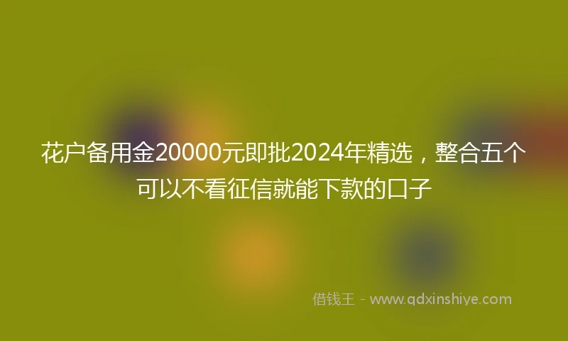 花户备用金20000元即批2024年精选,整合五个可以不看征信就能下款的口子