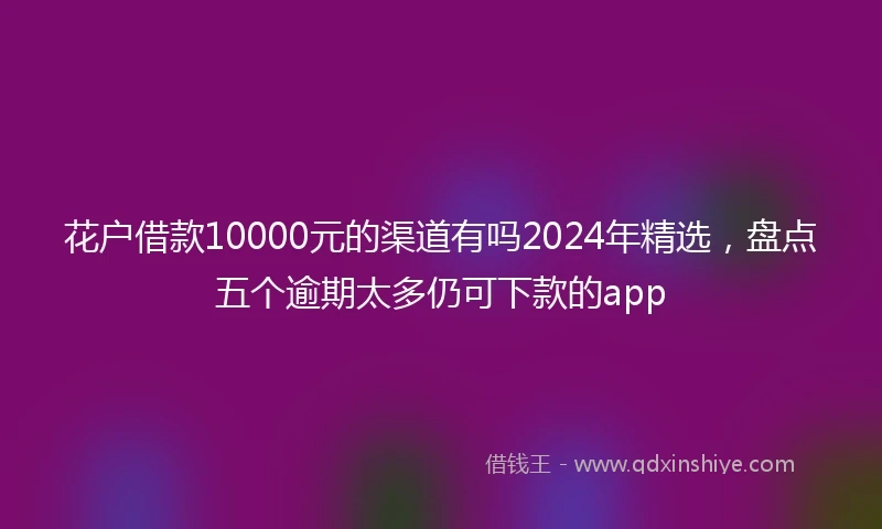 花户借款10000元的渠道有吗2024年精选，盘点五个逾期太多仍可下款的app