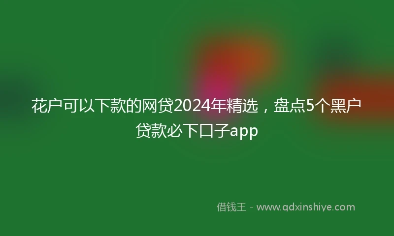 花户可以下款的网贷2024年精选，盘点5个黑户贷款必下口子app