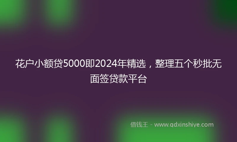 花户小额贷5000即2024年精选，整理五个秒批无面签贷款平台