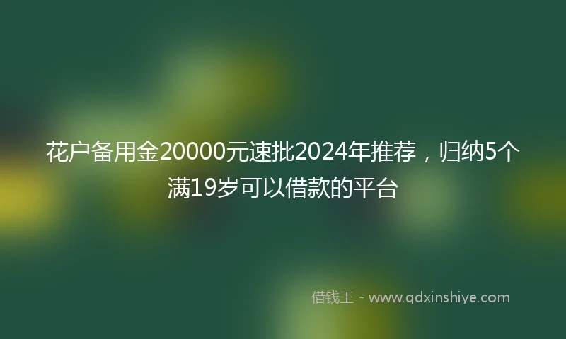 花户备用金20000元速批2024年推荐，归纳5个满19岁可以借款的平台