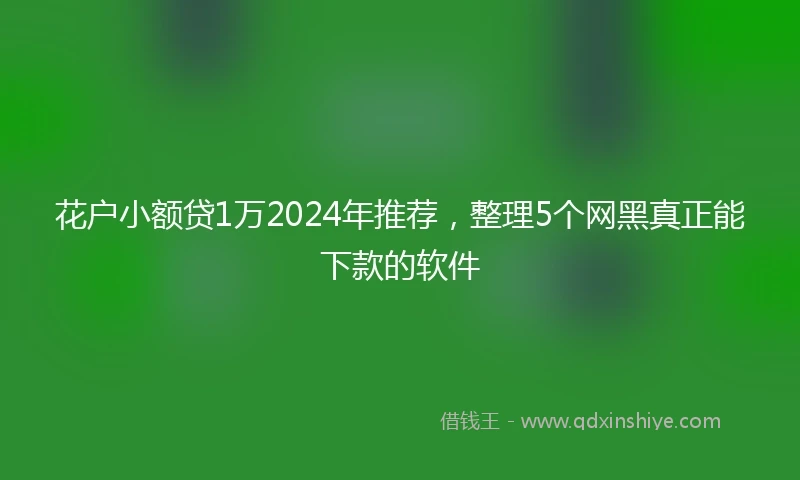 花户小额贷1万2024年推荐,整理5个网黑真正能下款的软件
