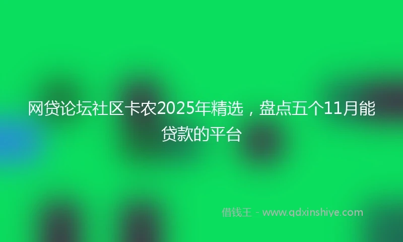 网贷论坛社区卡农2025年精选，盘点五个11月能贷款的平台