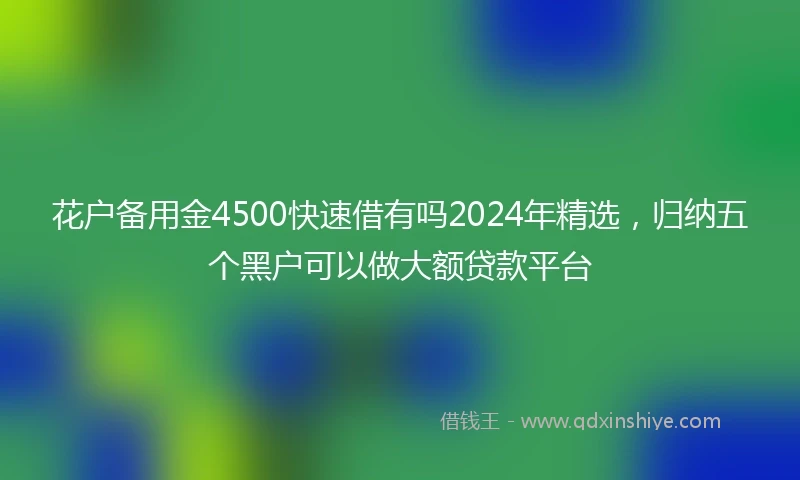 花户备用金4500快速借有吗2024年精选，归纳五个黑户可以做大额贷款平台