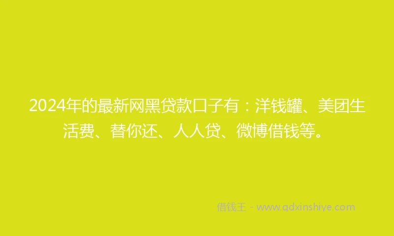 2024年的最新网黑贷款口子有：洋钱罐、美团生活费、替你还、人人贷、微博借钱等。