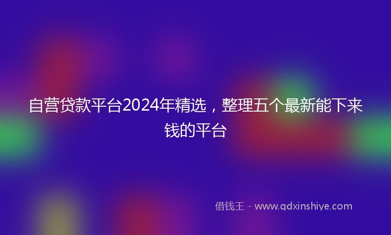 自营贷款平台2024年精选，整理五个最新能下来钱的平台