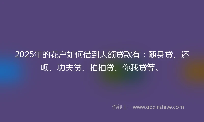 2025年的花户如何借到大额贷款有:随身贷、还呗、功夫贷、拍拍贷、你我贷等。
