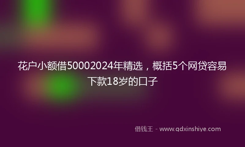 花户小额借50002024年精选,概括5个网贷容易下款18岁的口子
