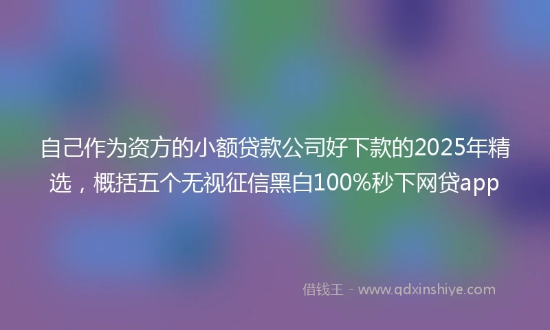自己作为资方的小额贷款公司好下款的2025年精选，概括五个无视征信黑白100%秒下网贷app
