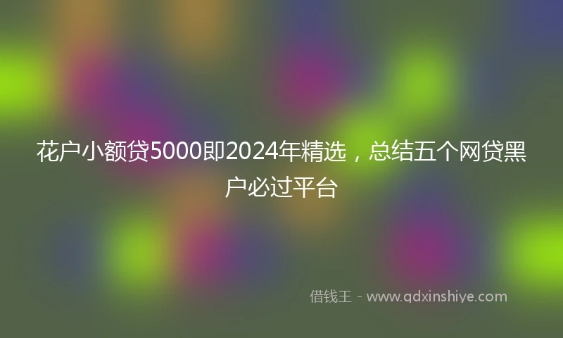 花户小额贷5000即2024年精选,总结五个网贷黑户必过平台