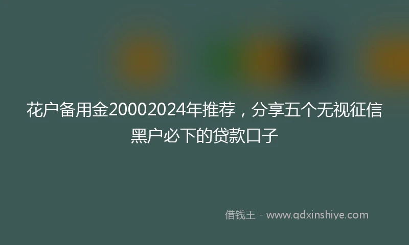 花户备用金20002024年推荐，分享五个无视征信黑户必下的贷款口子