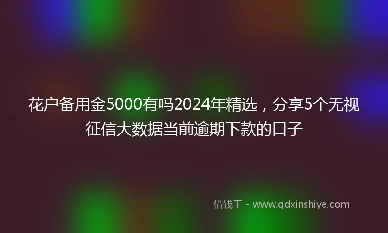 花户备用金5000有吗2024年精选，分享5个无视征信大数据当前逾期下款的口子