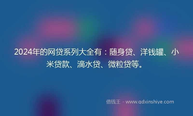 2024年的网贷系列大全有：随身贷、洋钱罐、小米贷款、滴水贷、微粒贷等。