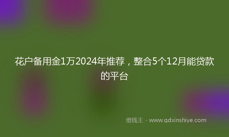 花户备用金1万2024年推荐，整合5个12月能贷款的平台