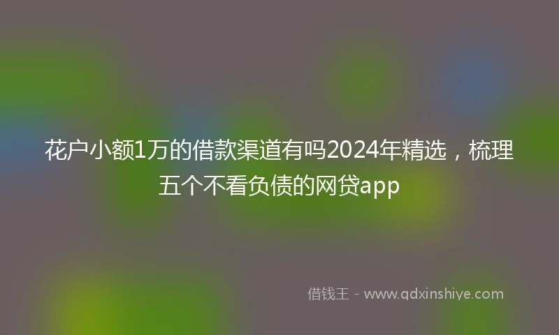 花户小额1万的借款渠道有吗2024年精选，梳理五个不看负债的网贷app