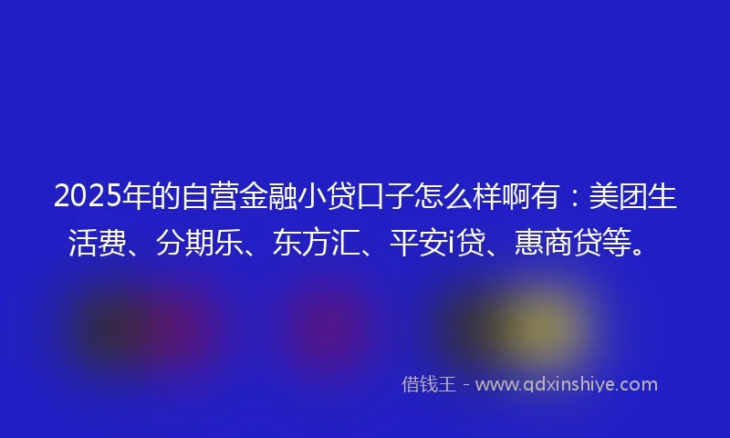 2025年的自营金融小贷口子怎么样啊有：美团生活费、分期乐、东方汇、平安i贷、惠商贷等。
