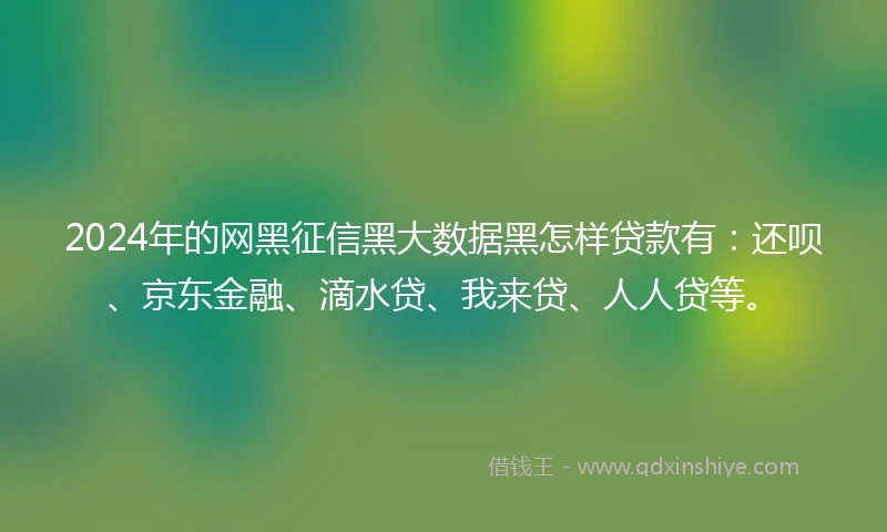 2024年的网黑征信黑大数据黑怎样贷款有：还呗、京东金融、滴水贷、我来贷、人人贷等。