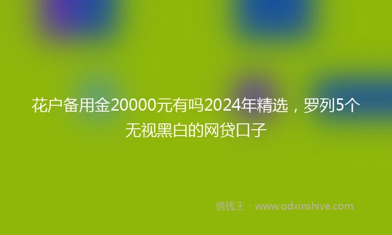 花户备用金20000元有吗2024年精选，罗列5个无视黑白的网贷口子