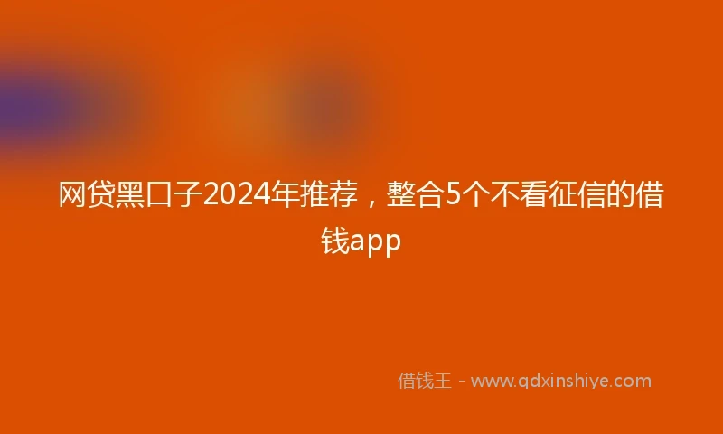 网贷黑口子2024年推荐，整合5个不看征信的借钱app