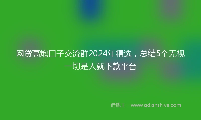 网贷高炮口子交流群2024年精选，总结5个无视一切是人就下款平台