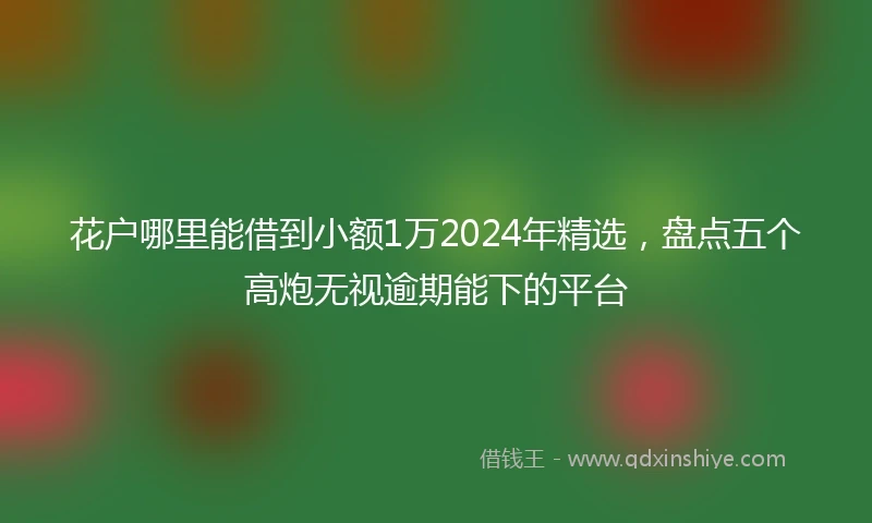 花户哪里能借到小额1万2024年精选，盘点五个高炮无视逾期能下的平台