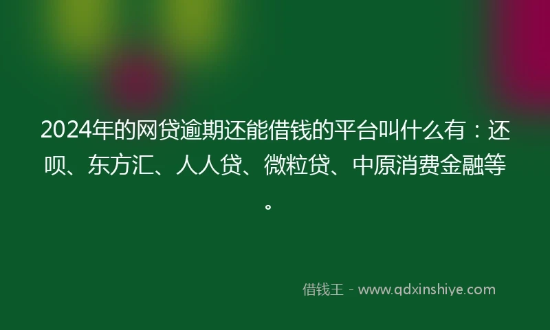 2024年的网贷逾期还能借钱的平台叫什么有：还呗、东方汇、人人贷、微粒贷、中原消费金融等。