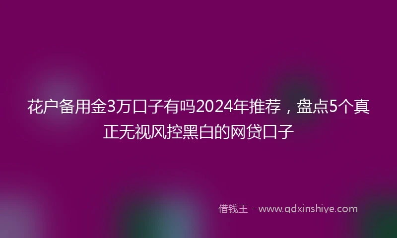 花户备用金3万口子有吗2024年推荐，盘点5个真正无视风控黑白的网贷口子