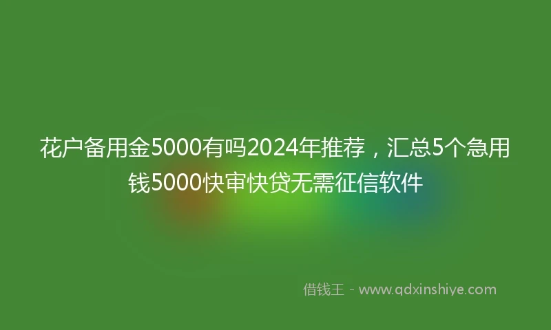 花户备用金5000有吗2024年推荐，汇总5个急用钱5000快审快贷无需征信软件