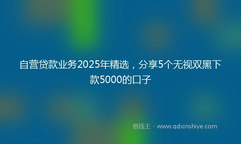 自营贷款业务2025年精选，分享5个无视双黑下款5000的口子