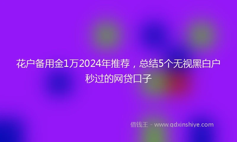 花户备用金1万2024年推荐，总结5个无视黑白户秒过的网贷口子