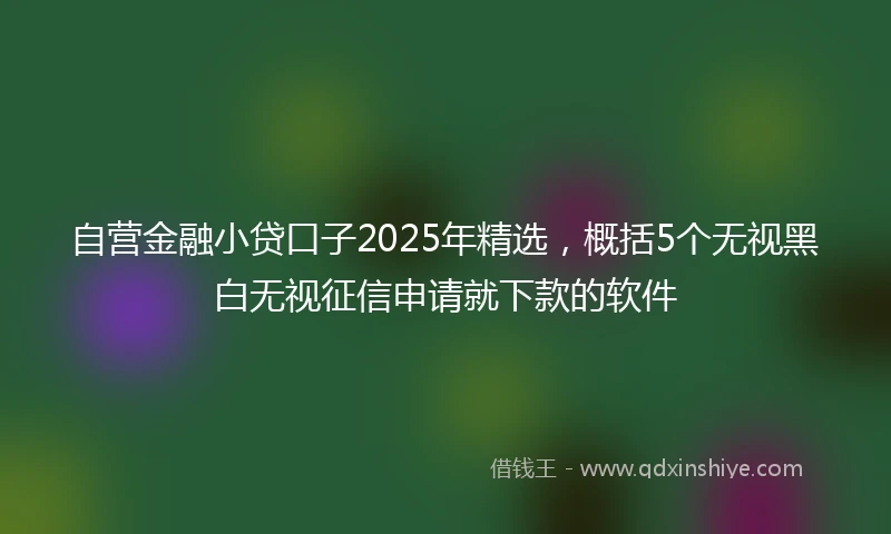 自营金融小贷口子2025年精选，概括5个无视黑白无视征信申请就下款的软件