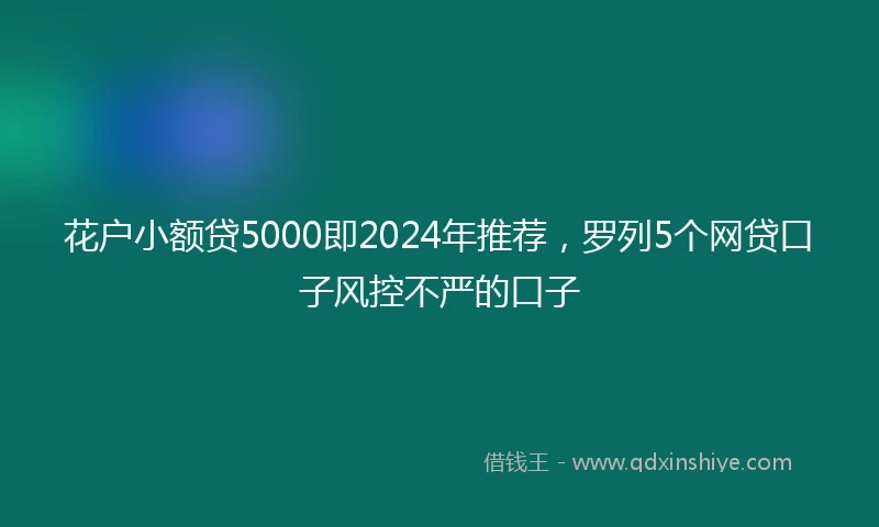 花户小额贷5000即2024年推荐，罗列5个网贷口子风控不严的口子
