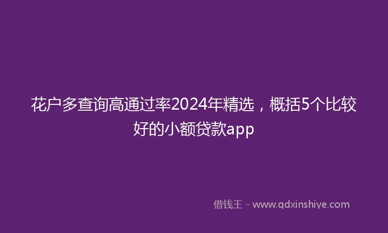 花户多查询高通过率2024年精选，概括5个比较好的小额贷款app