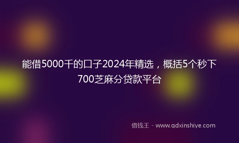 能借5000千的口子2024年精选，概括5个秒下700芝麻分贷款平台