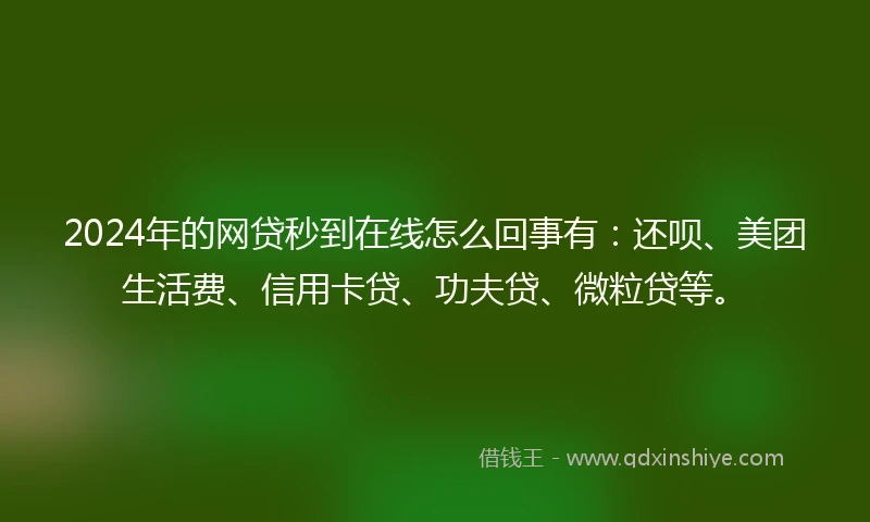 2024年的网贷秒到在线怎么回事有：还呗、美团生活费、信用卡贷、功夫贷、微粒贷等。