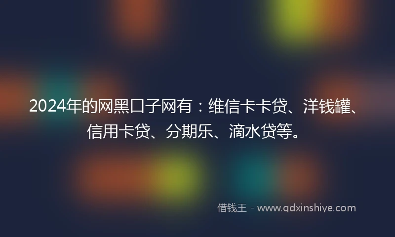 2024年的网黑口子网有：维信卡卡贷、洋钱罐、信用卡贷、分期乐、滴水贷等。